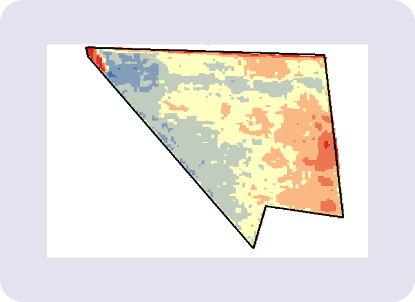 Customized-vegetation